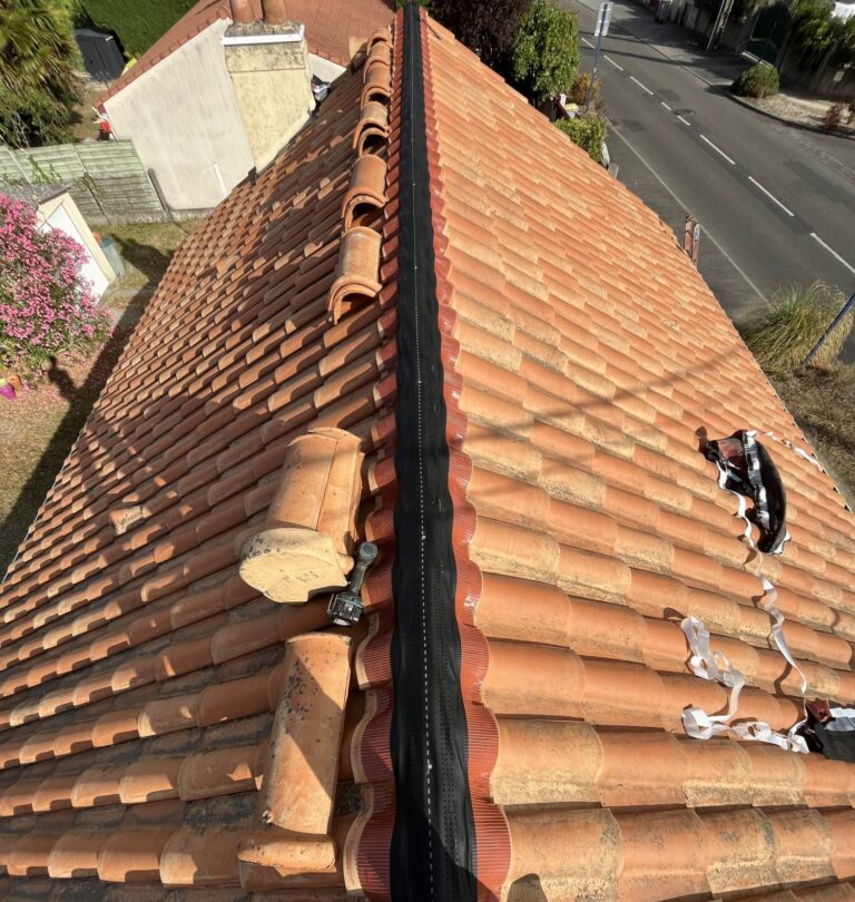 Offre Nettoyage, démoussage et installation de toiture