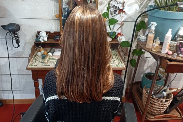 Offre Coupe énergétique Carnac